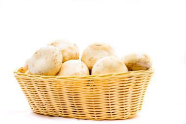 Taze şampiyonlar, hasır sepetteki şampiyon mantarlar izole edildi.