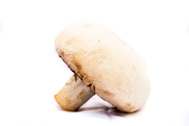 Taze şampiyonlar, şampiyon mantarlar, yakın plan, izole edilmiş.