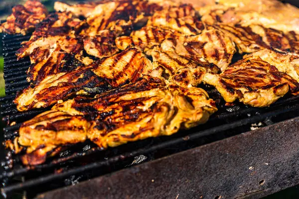 Pollo Carne Cerdo Parrilla Una Barbacoa Carbón Vista Superior Camping —  Fotos de Stock