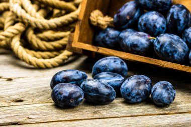 Kırsal bir kompozisyonda ahşap bir sandıkta olgun mavi erikler..