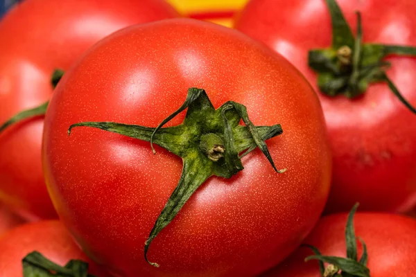 熟した赤いトマト トマトの背景の終わり — ストック写真