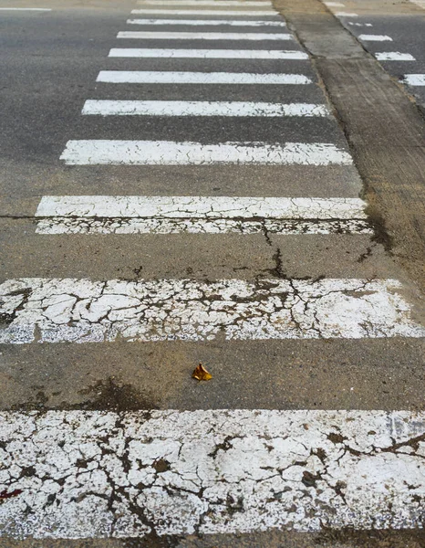 Empty Pedestrian Crossing Crosswalk Road Isolated — Stock Photo, Image