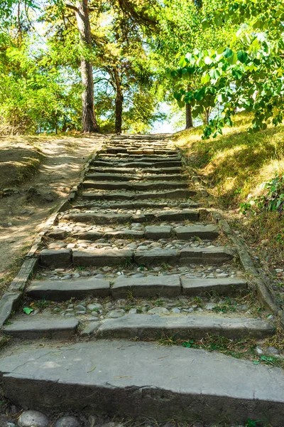 Escadas Degraus Através Uma Floresta Dia Ensolarado — Fotografia de Stock