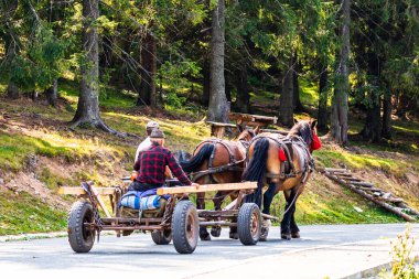 Romanya 'nın Bihor kentindeki dağ yolunda at arabası, 2021