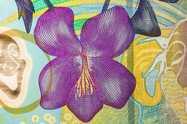 LEI banknotlarının detaylarına özen göster. Rumen LEI banknotlarının makro detaylarını kapat. Dünya para kavramı, enflasyon ve ekonomi kavramı