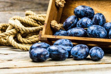 Kırsal bir kompozisyonda ahşap bir sandıkta olgun mavi erikler..