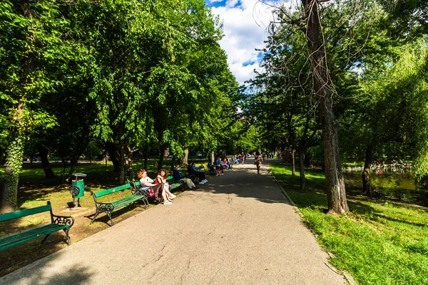 Persone Che Camminano Divertono Godono All Aperto Nel Parco Dopo — Foto Stock