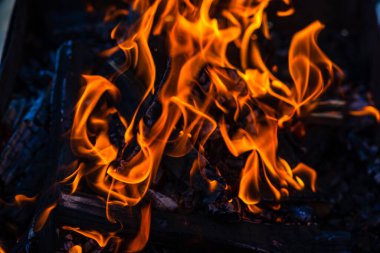 Kömür oluşturmak için odun parçaları yakmak. Barbekü hazırlığı, pişirmeden önce ateş..