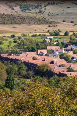 Romanya 'da bitki örtüsü, tarlaları ve evleri olan bir kırsal alan manzarası.