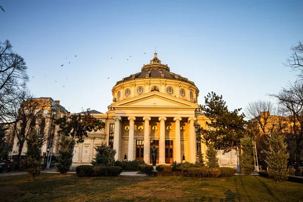 Vue Détaillée Sur Athénée Roumain Ateneul Roman Dans Centre Bucarest — Photo