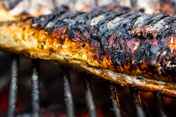 Grillowana Ryba Grillu Grill Świeżych Ryb — Zdjęcie stockowe