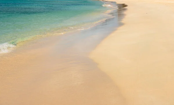 Playa Barbados Isla Del Caribe — Foto de Stock