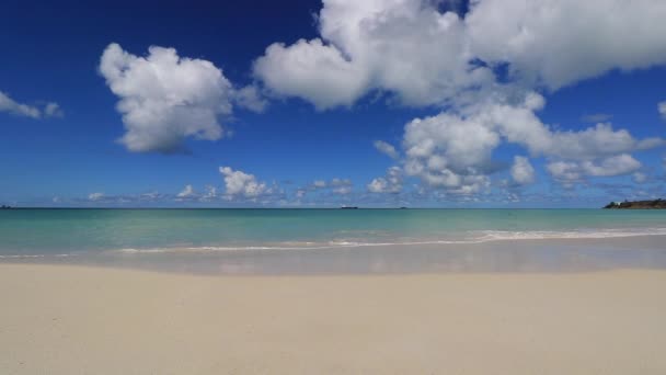 Playa Antigua Barbuda Indias Occidentales Mar Caribe — Vídeo de stock