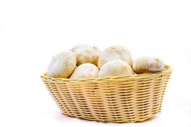 Taze şampiyonlar, hasır sepetteki şampiyon mantarlar izole edildi.