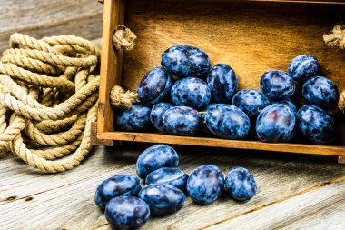 Kırsal bir kompozisyonda ahşap bir sandıkta olgun mavi erikler..