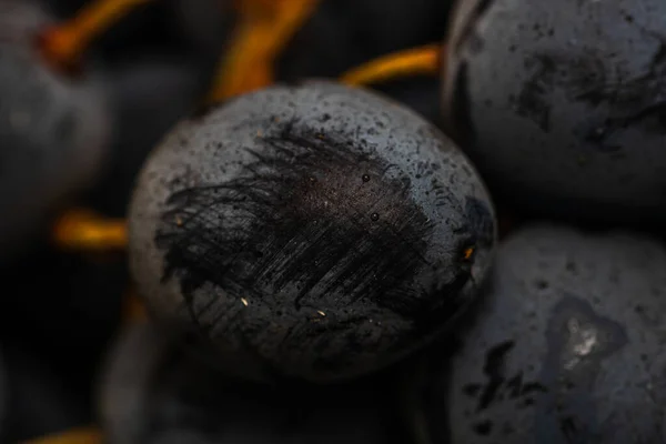 Primer Plano Uvas Maduras Fondo Uvas —  Fotos de Stock