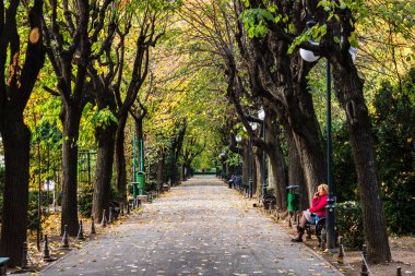 Romanya 'nın başkenti Bükreş' teki Cismigiu parkındaki boş sokak