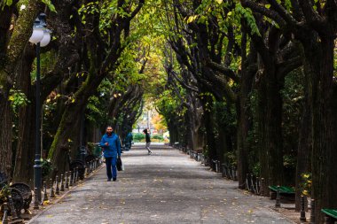 Romanya 'nın başkenti Bükreş' teki Cismigiu parkındaki insanlar, 2021