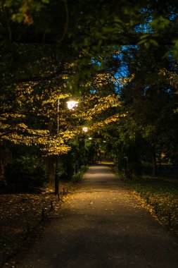Gece sahnesi. Romanya 'nın Bükreş kentindeki Cismigiu Gardens Parkı' ndaki karanlık sokak, 2021
