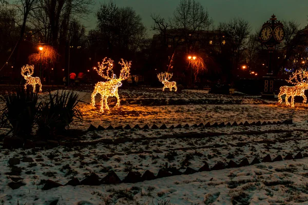 Decorazioni Natalizie Nei Giardini Del Parco Cismigiu Situato Nel Centro — Foto Stock