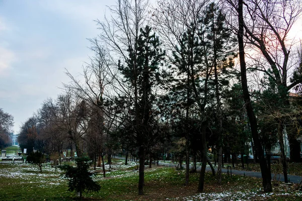 Cismiigiu公園ブカレストの冬のシーン ルーマニアのブカレストのダウンタウンに位置するCismiiu Gardens — ストック写真