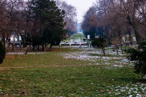 Cena Inverno Parque Cismigiu Bucareste Cismigiu Gardens Localizado Centro Bucareste — Fotografia de Stock