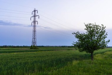 Elektrik kabloları ve tarlaları olan elektrik direğinin ayrıntıları