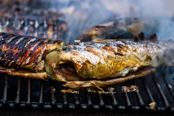 Grillowana Ryba Grillu Grill Świeżych Ryb — Zdjęcie stockowe