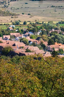 Romanya 'da bitki örtüsü, tarlaları ve evleri olan bir kırsal alan manzarası.