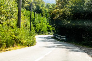 Güneşli bir günde ağaçların arasındaki dağ yolunun arabasının ön camından bak..
