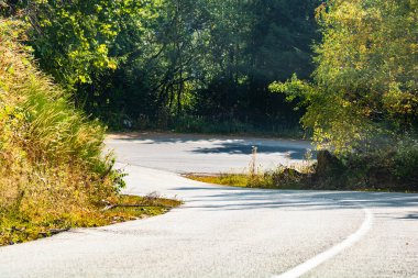 Güneşli bir günde ağaçların arasındaki dağ yolunun arabasının ön camından bak..
