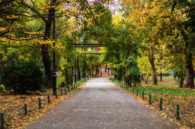 Romanya 'nın başkenti Bükreş' teki Cismigiu parkındaki boş sokak