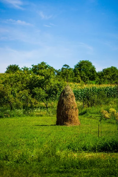 Hagyományos Kelet Európai Szénakazal Mezőn — Stock Fotó