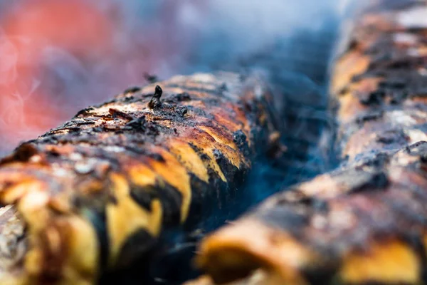 Peixe Grelhado Grelha Carvão Churrasco Peixe Fresco — Fotografia de Stock