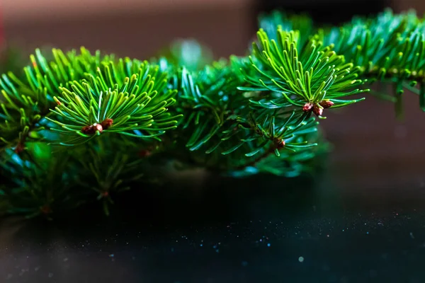 Conceito Natal Ano Novo Natal Decoração Fundo — Fotografia de Stock