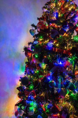 Işıkları ve süslemeleri olan güzel Noel ağacı