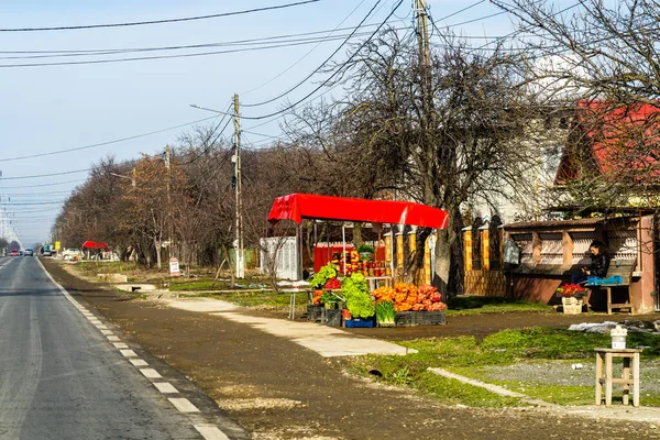 Campesinos Rumanos Que Venden Verduras Frutas Carretera Targoviste Rumania 2021 — Foto de Stock