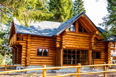 Romanya 'nın Vartop kentindeki ağaçlar arasındaki tipik ahşap ev, 2021