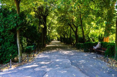 Cismigiu Bahçesi manzarası, ağaçlık yolları olan halka açık bir park. Romanya 'nın Bükreş kentindeki Cismigiu Parkı, 2021