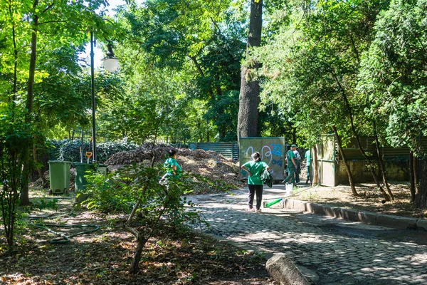 Közpark Kertek Karbantartása Városi Munkások Cismigiu Gardens Park Takarítása Bukarest — Stock Fotó