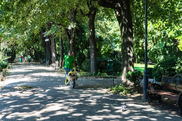 Pemeliharaan Taman Umum Dan Kebun Pekerja Kota Membersihkan Taman Umum — Stok Foto