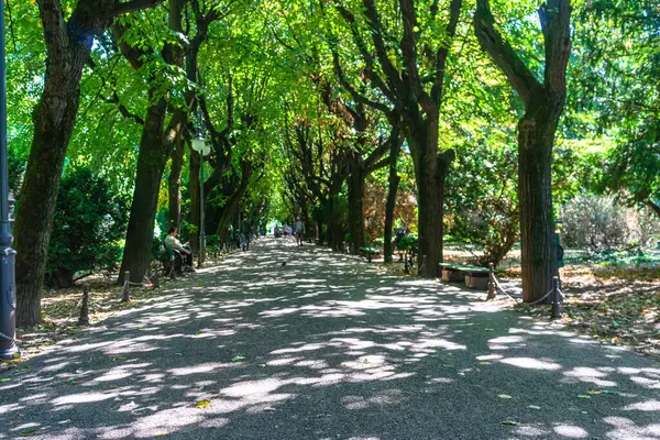 Cismigiu Bahçesi manzarası, ağaçlık yolları olan halka açık bir park. Romanya 'nın Bükreş kentindeki Cismigiu Parkı, 2021