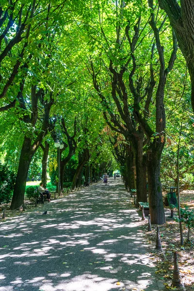 Vista Sul Giardino Cismigiu Parco Pubblico Con Sentieri Alberati Parco — Foto Stock