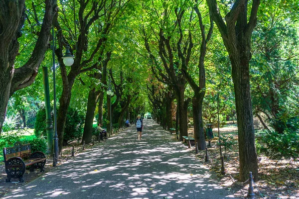 西米谷花园的景观 公园有树木林立的小径 2021年罗马尼亚布加勒斯特Cismigiu公园 — 图库照片