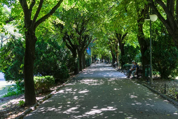 Pohled Zahradu Cismigiu Veřejný Park Cestičkami Lemovanými Stromy Cismigiu Park — Stock fotografie