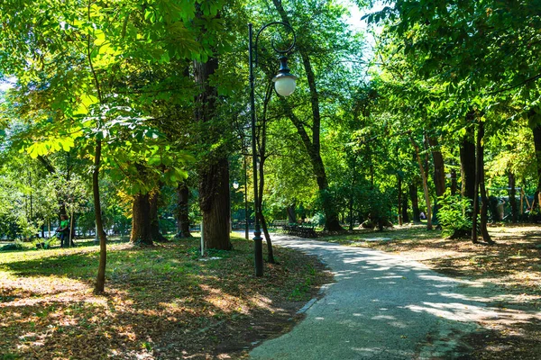 Uitzicht Cismigiu Garden Openbaar Park Met Bomen Omzoomde Paden Cismigiu — Stockfoto