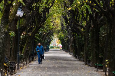 Romanya 'nın başkenti Bükreş' teki Cismigiu parkındaki insanlar, 2021