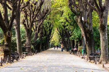 Romanya 'nın başkenti Bükreş' teki Cismigiu parkındaki boş sokak
