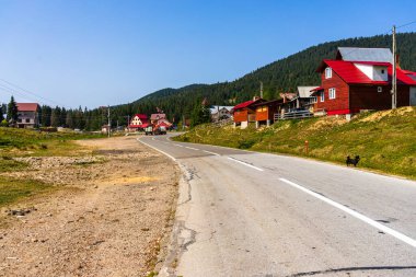 Romanya 'nın Bihor kentindeki dağlık yol kenar evleri ve ağaçların manzarası, 2021