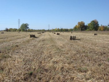 Hasattan sonra saman balyalarıyla tarım arazisi.